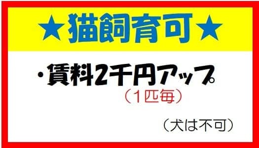 物件P005568の写真1 — 1R