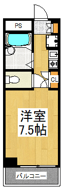 Floor plan of unit P000995 — 1R